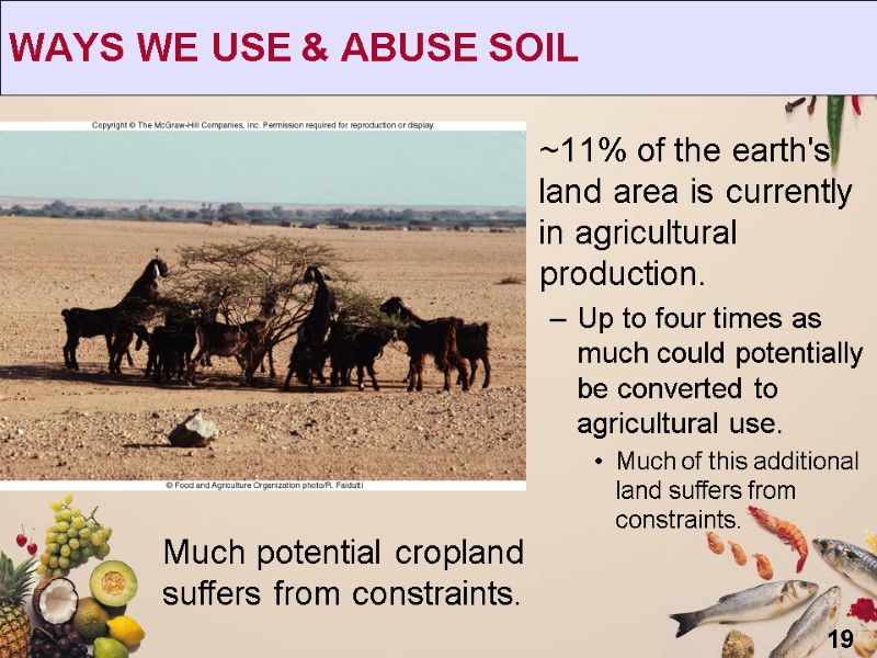 19 WAYS WE USE & ABUSE SOIL Much potential cropland suffers from constraints. ~11%